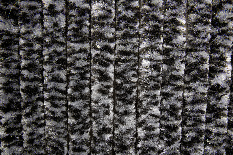 Pflanze, Baum, Textur